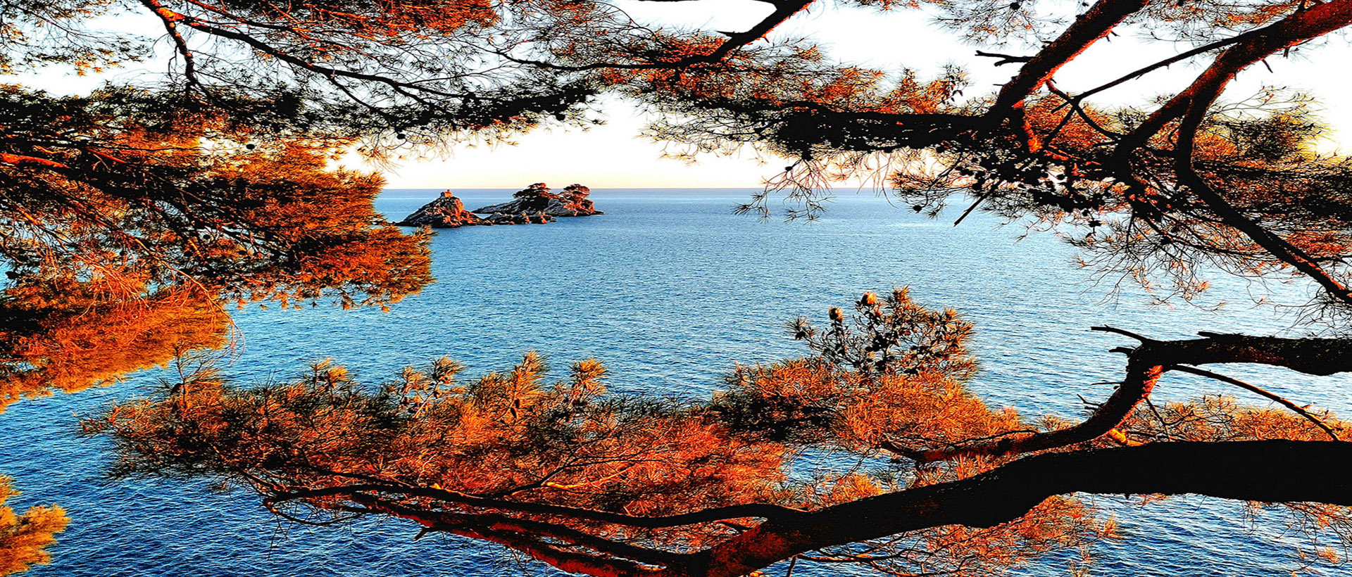 Slider Image